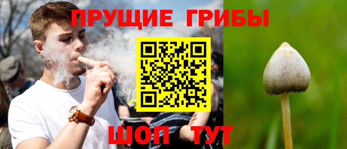 Галлюциногенные грибы GOLDEN TEACHER  Вход с VPN  Сочи 