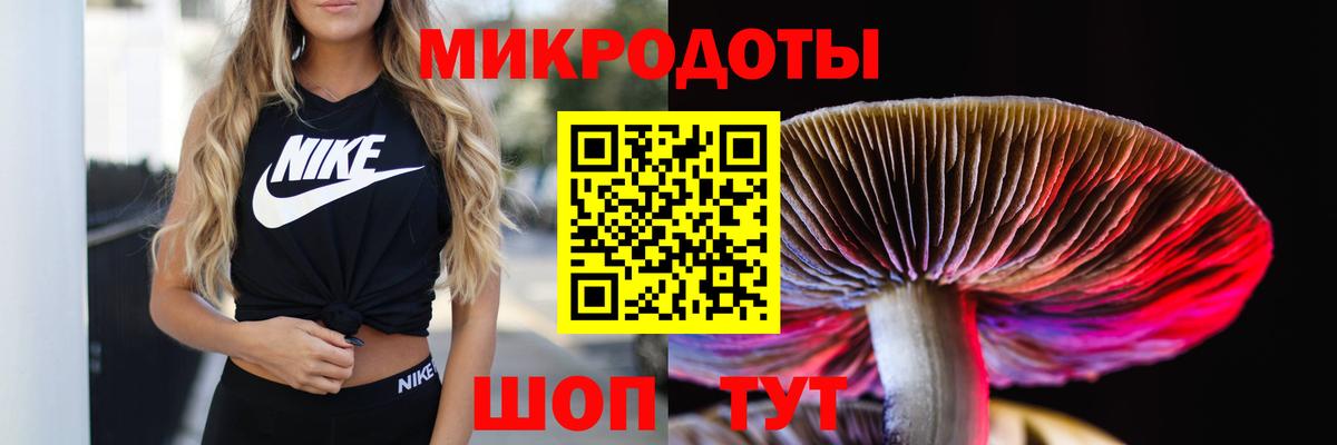 Галлюциногенные грибы мухоморы Сочи